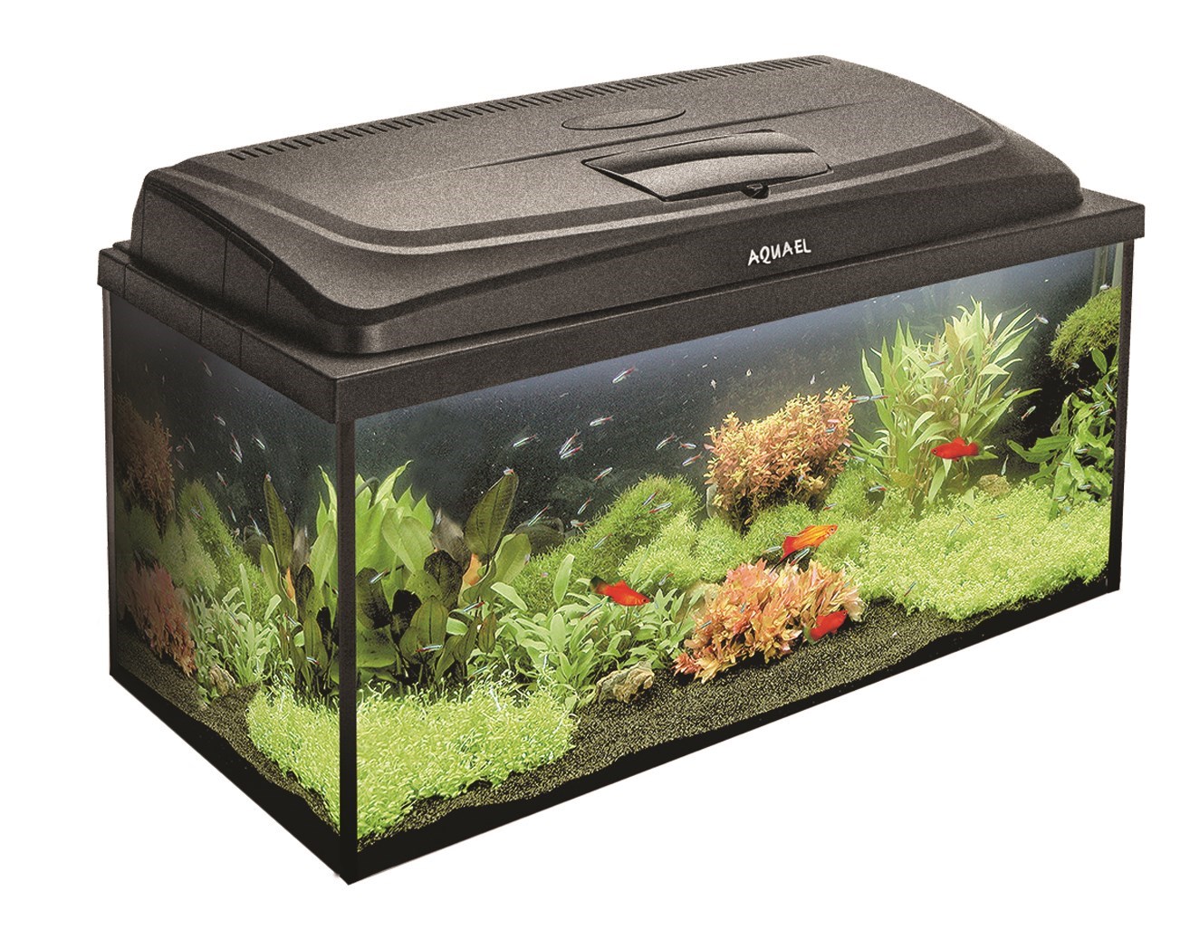 Zestaw Akwariowy Aquael BOX 80 112l — czarny